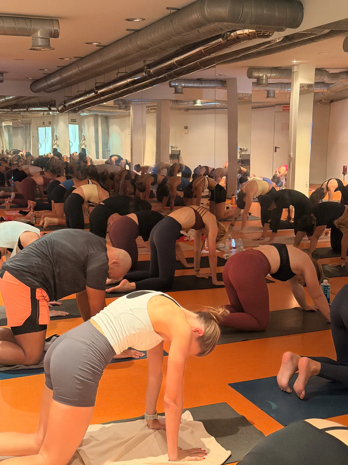 Clase de yoga en grupo de After con la sala llena